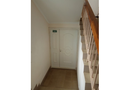 Технічні двері